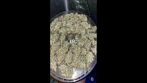 DC Grow Cartel