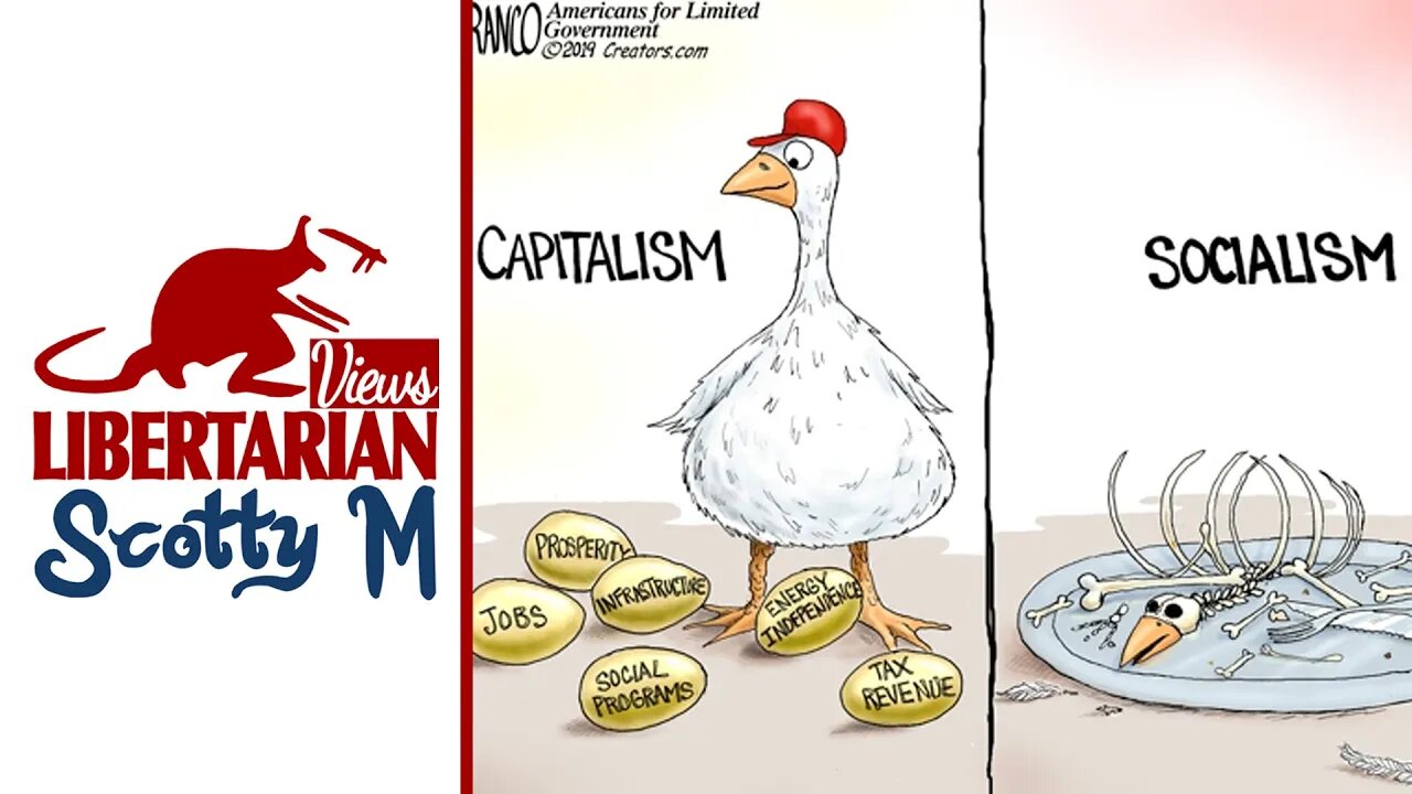 Debunking The Finnish Bolshevik: Truth About Socialism