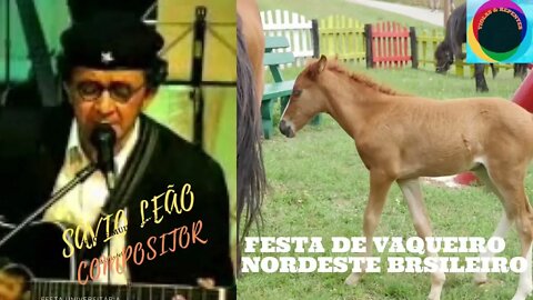 FESTA DE VAQUUEIRO NORDESTE BRASILEIRO SÁVIO LÉÃO (Laço De Boi - Dom e Ravel )