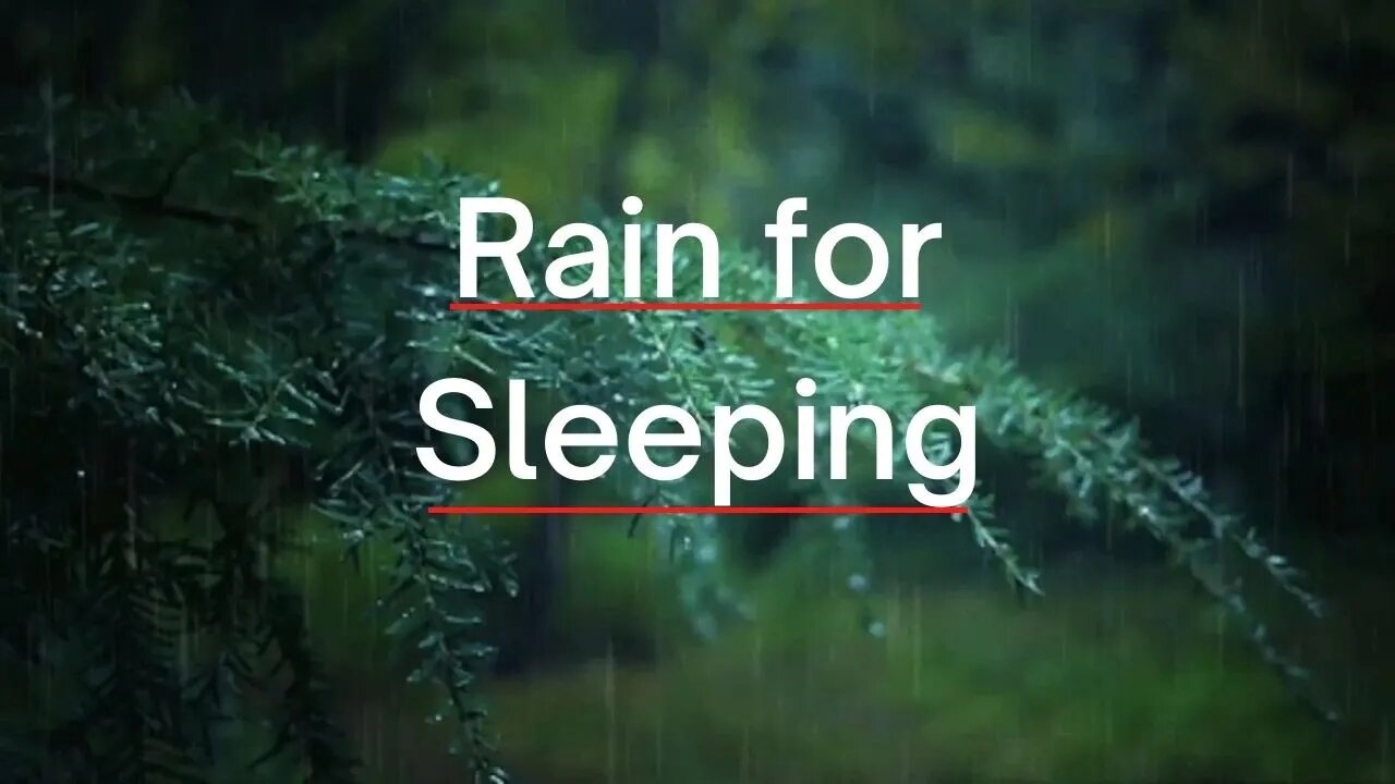 Rain Sounds for Sleeping, Sleep Better, Rain on the Forest, Beat Insomnia, Study, Stress Relief