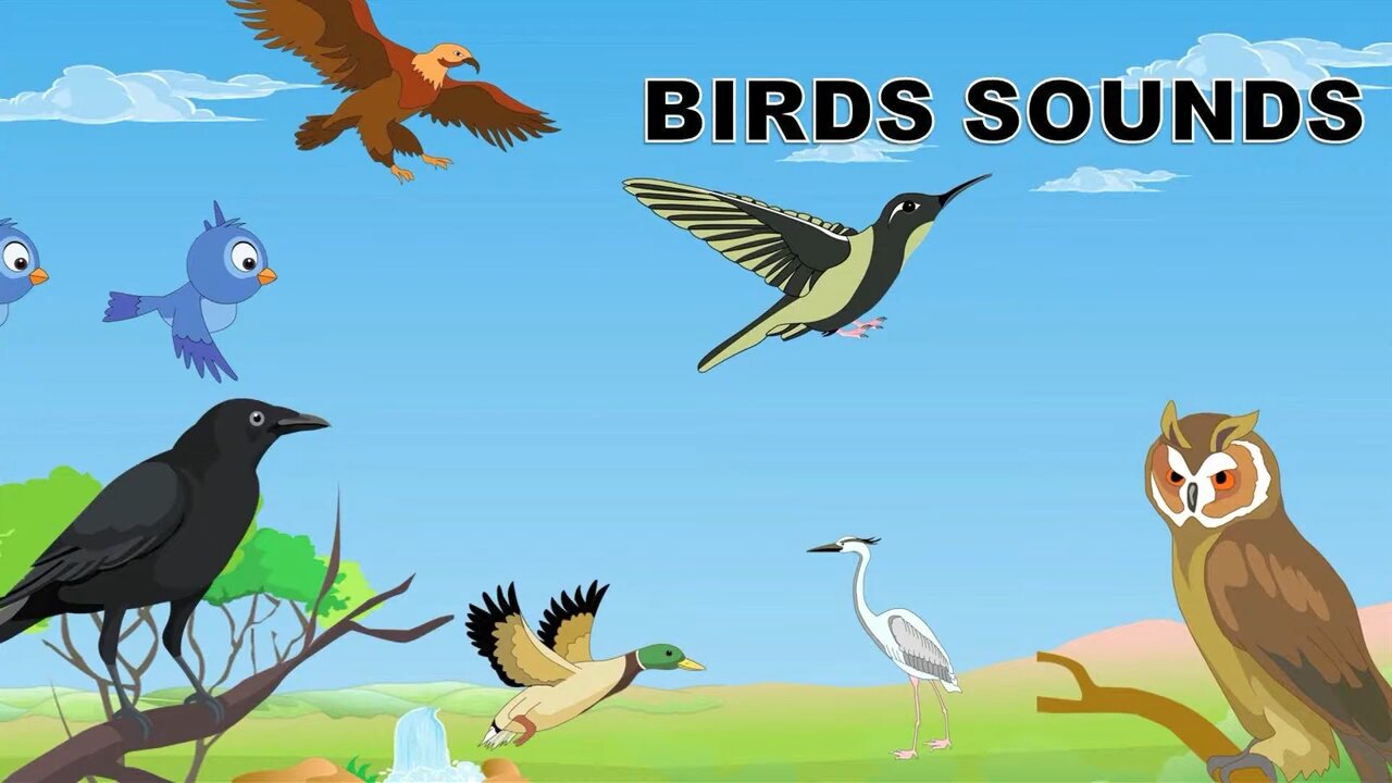 Birds sound