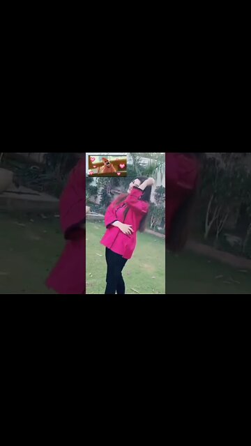 Gul Panra dance #ytshorts #shorts #gulpanra #gulpanrasongs