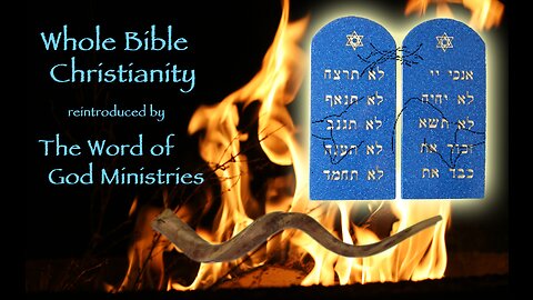 The Whole Picture: The Believer's Daily Bread