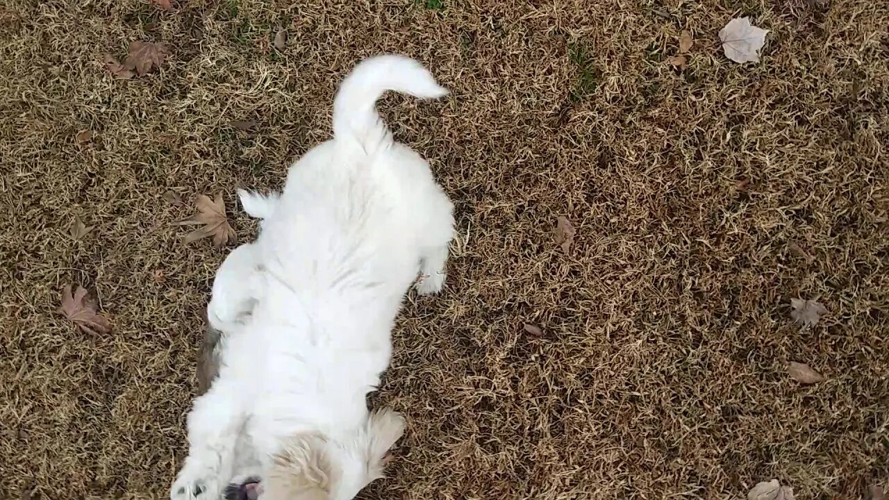 Outside with the F Litter & Ella(1)