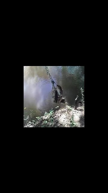 The moment I realized I lost the big one