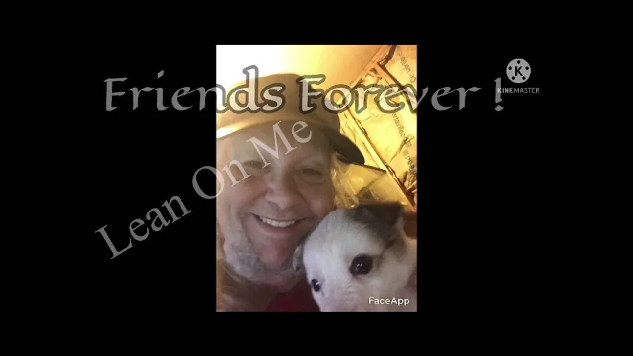Friends Forever