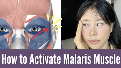 3 Exercises To Activate Malaris Muscle