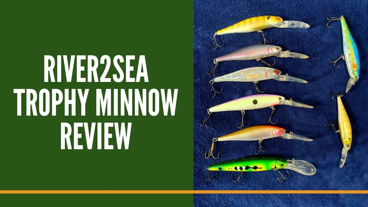 River2Sea Trophy Minnow Suspending Jerkbait Review