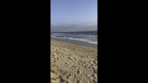 playa del rey
