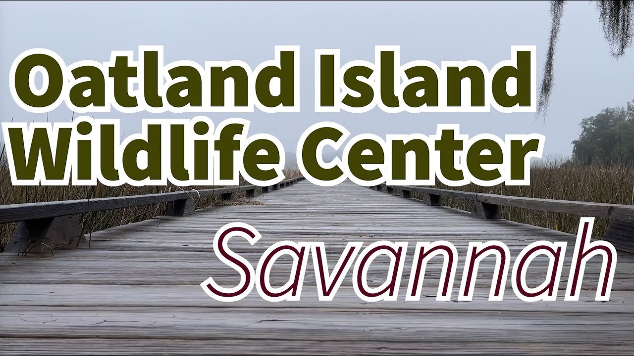 Savannah: Visiting Oatland Island Wildlife Center (GaaG Classic: 2/15/21)