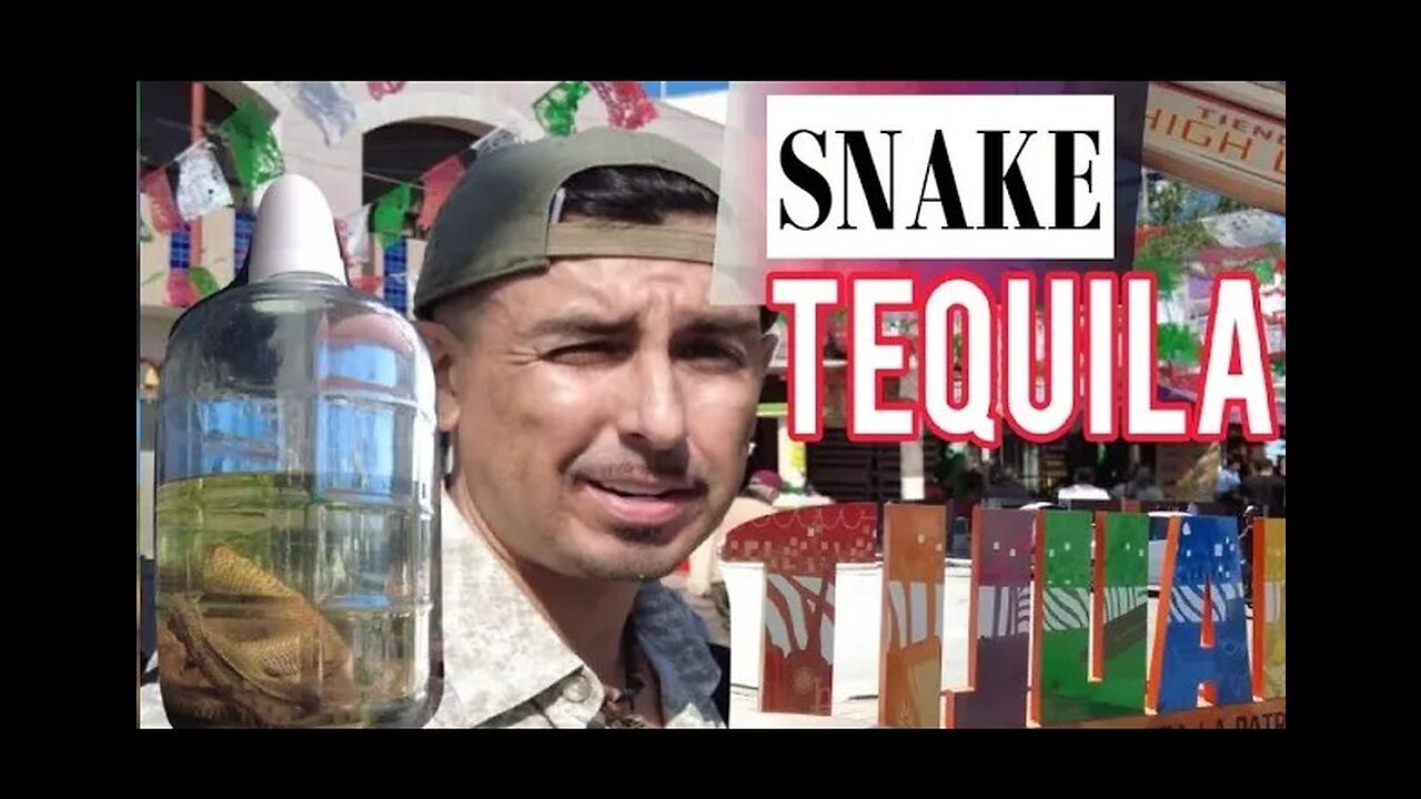 SNAKE TEQUILA - Urban Taboo series- Health benefits - Tijuana,MX