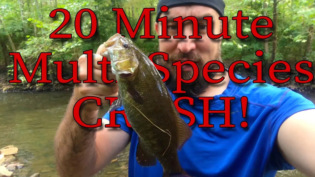 20 Minute Multi-Species CRUSH!