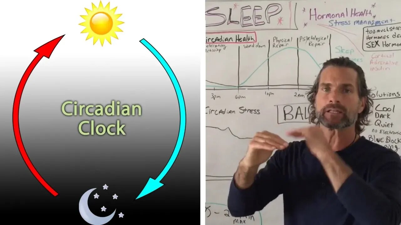 Use These Tips To Improve The Quality of Your Sleep! What Is Circadian Rhythm?