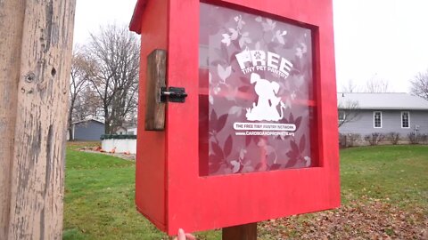 A tiny pet pantry is making a paws-itive impact in Mason