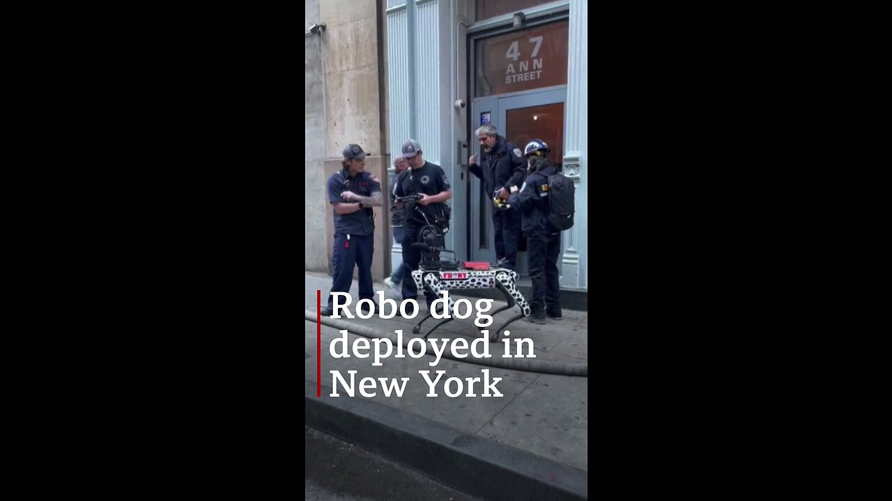 Robo dog deployed in New York 2023