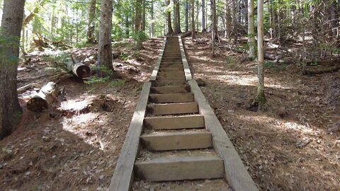 The Bridge and Stairs at Bonshaw Hills