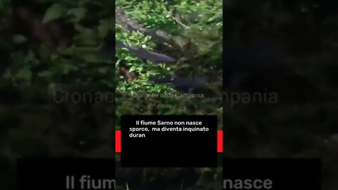 C'è vita nel fiume Sarno