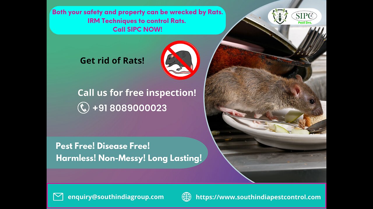 Rodent Control Services in Cochin