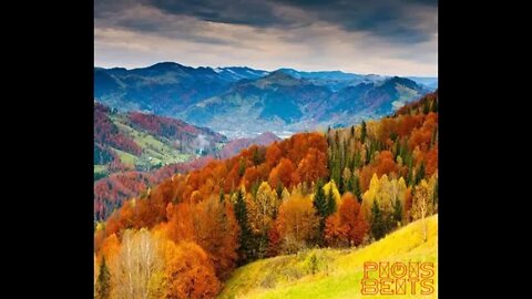 free for profit0autumn winds, P!O!S beats