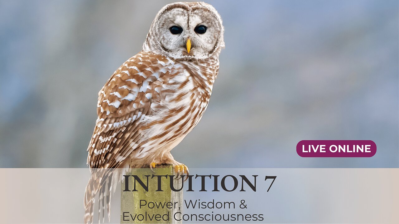 🦋 Coming in October: INTUITION 7 Live Online 🦋