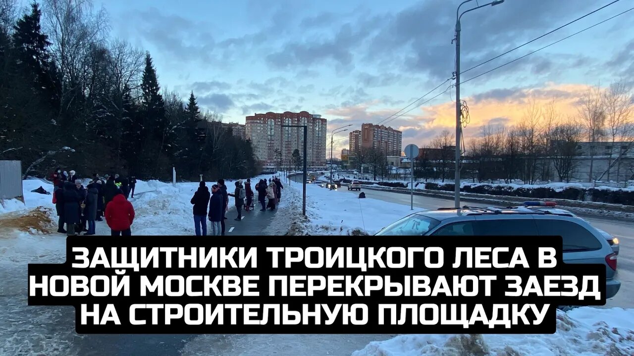 Защитники Троицкого леса в Новой Москве перекрывают заезд на строительную площадку / LIVE 10.02.22