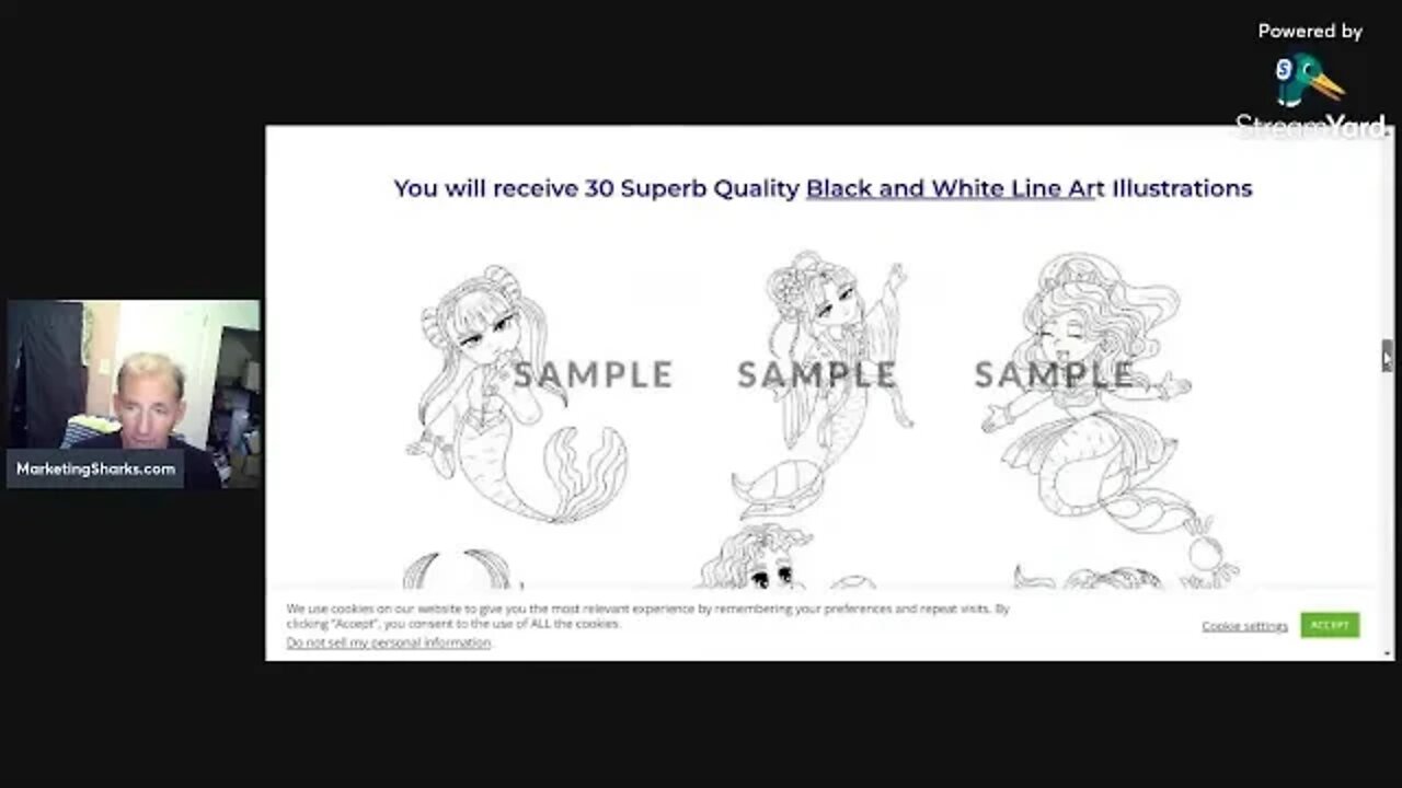 Chibi Mermaids PLR Coloring Pack - 30 High Quality B/W Illustrations With Commercial License