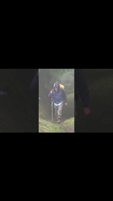 camino de santiago book