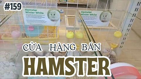 Hamster shop in Ho Chi Minh City
