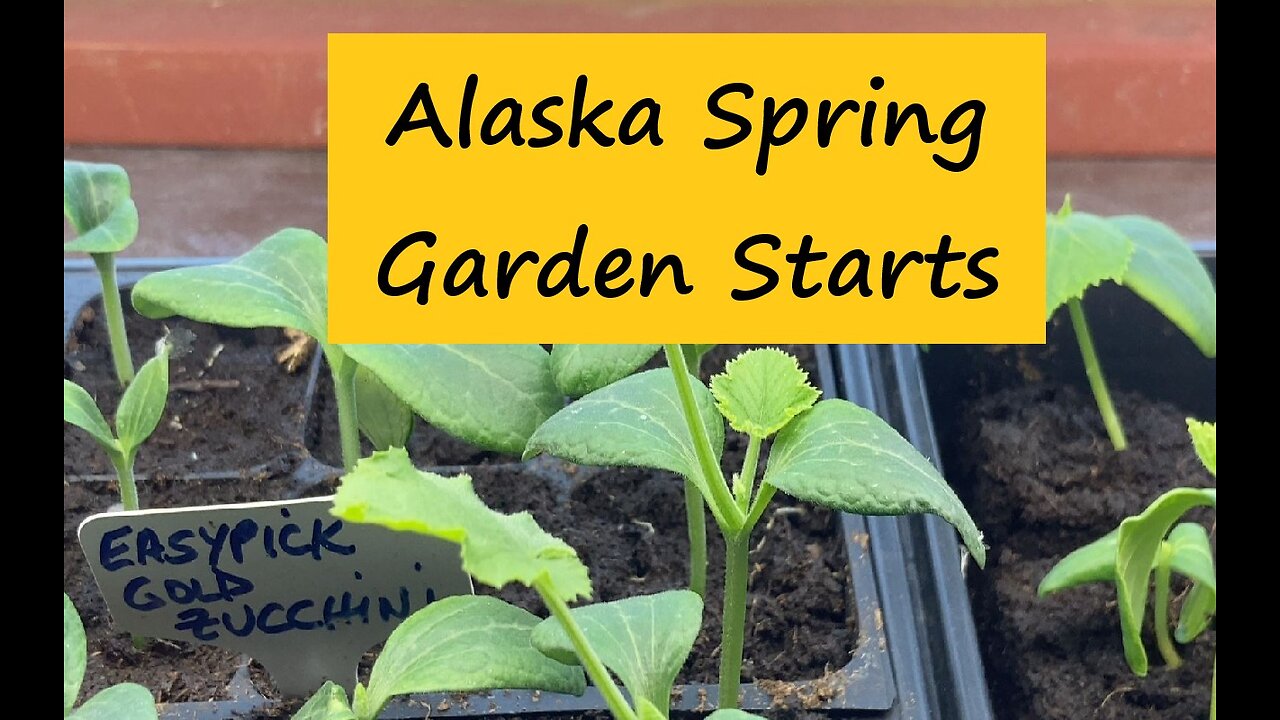 Alaska Spring Garden Starts