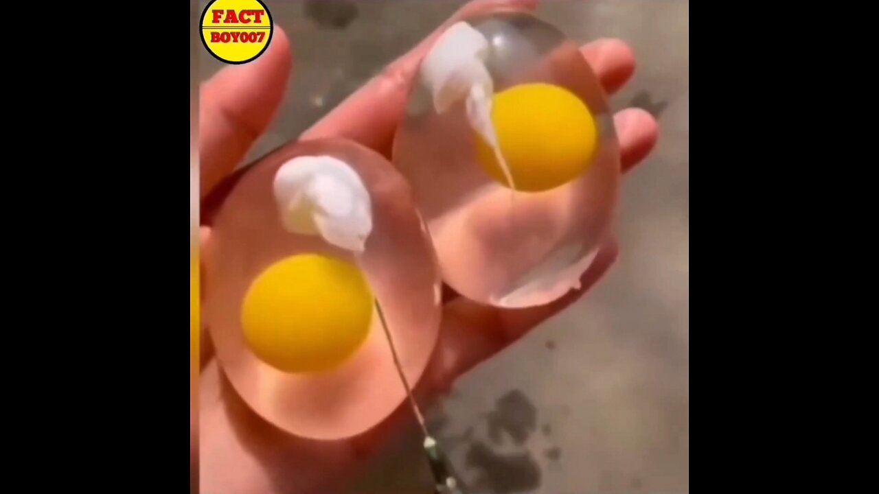 What Do You Know About FAKE EGGS?