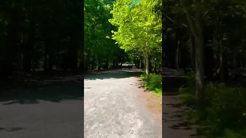 Walking through a provincial park in Halifax NS