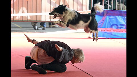 FCI Dog dance World Championship 2021 | Winner freestyle | Yvonne Belin and Alice (Switzerland)