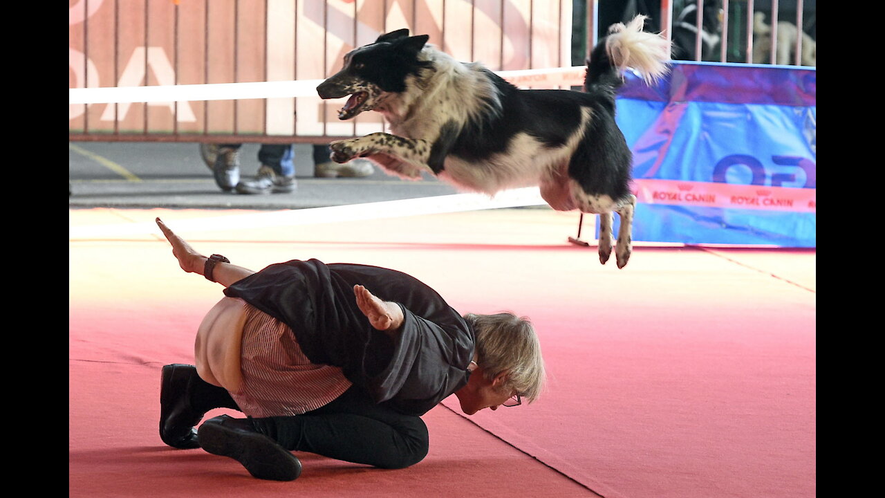 FCI Dog dance World Championship 2021 | Winner freestyle | Yvonne Belin and Alice (Switzerland)