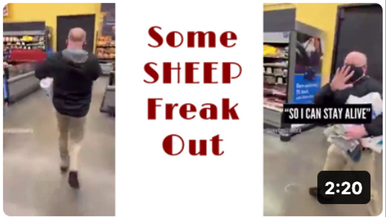 Some SHEEP Freak Out