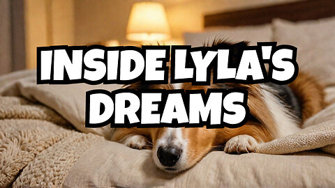 What is Lyla the sheltie dreaming about