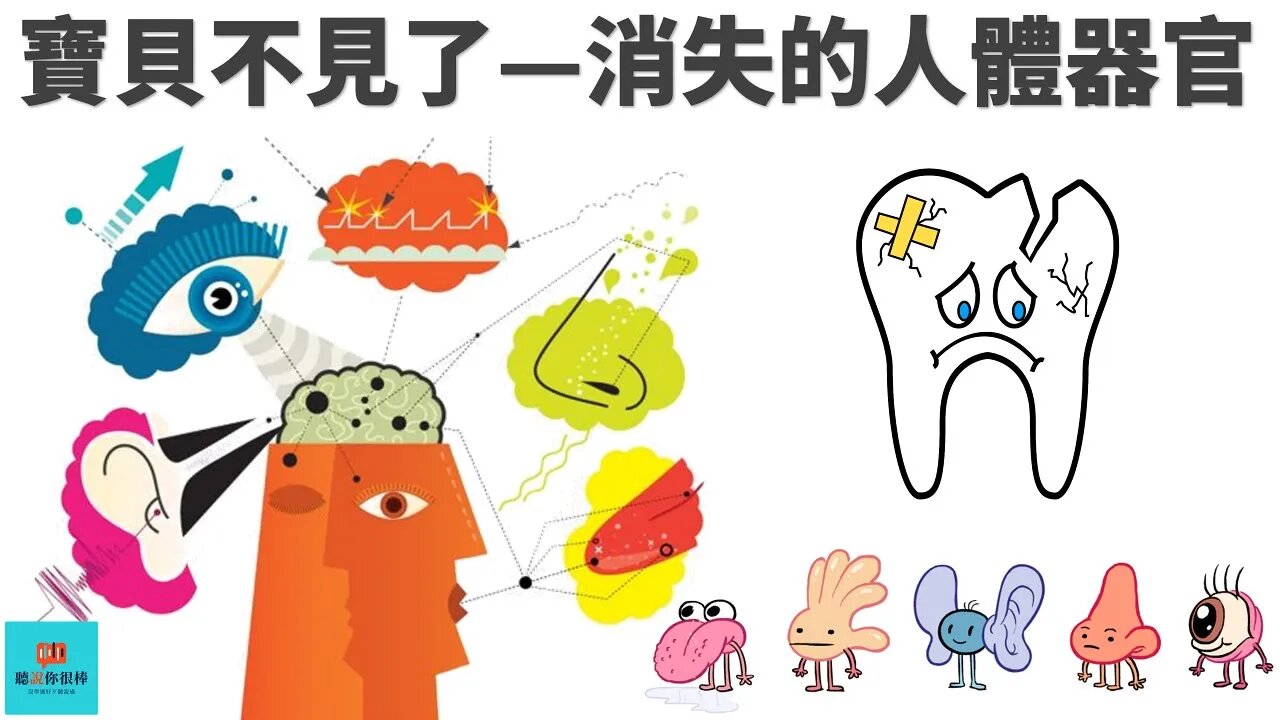 寶貝不見了💁被消失的人體器官