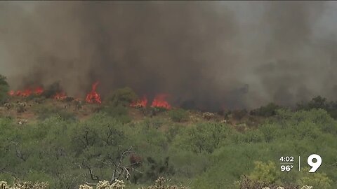 Bowl Creek Fire grows to 500 acres near Oracle Junction