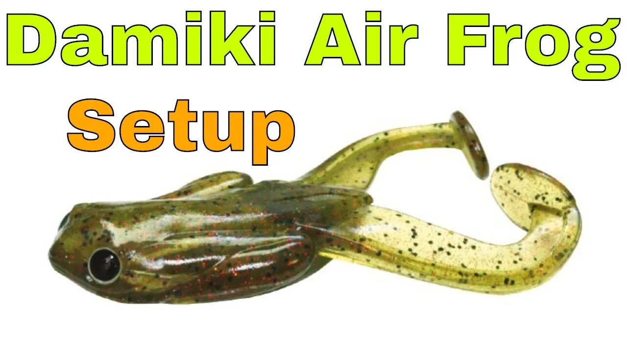 Damiki Frog Rigging - Follow Up