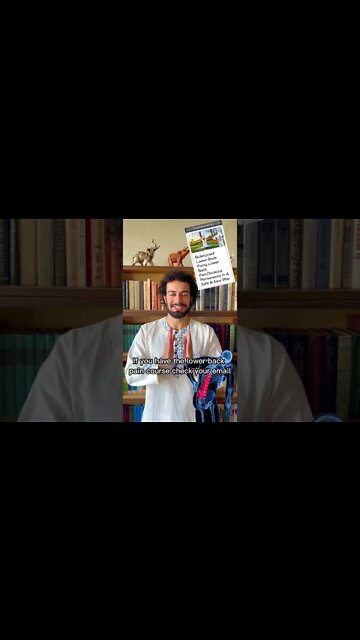 Lower Back Pain Course Update!