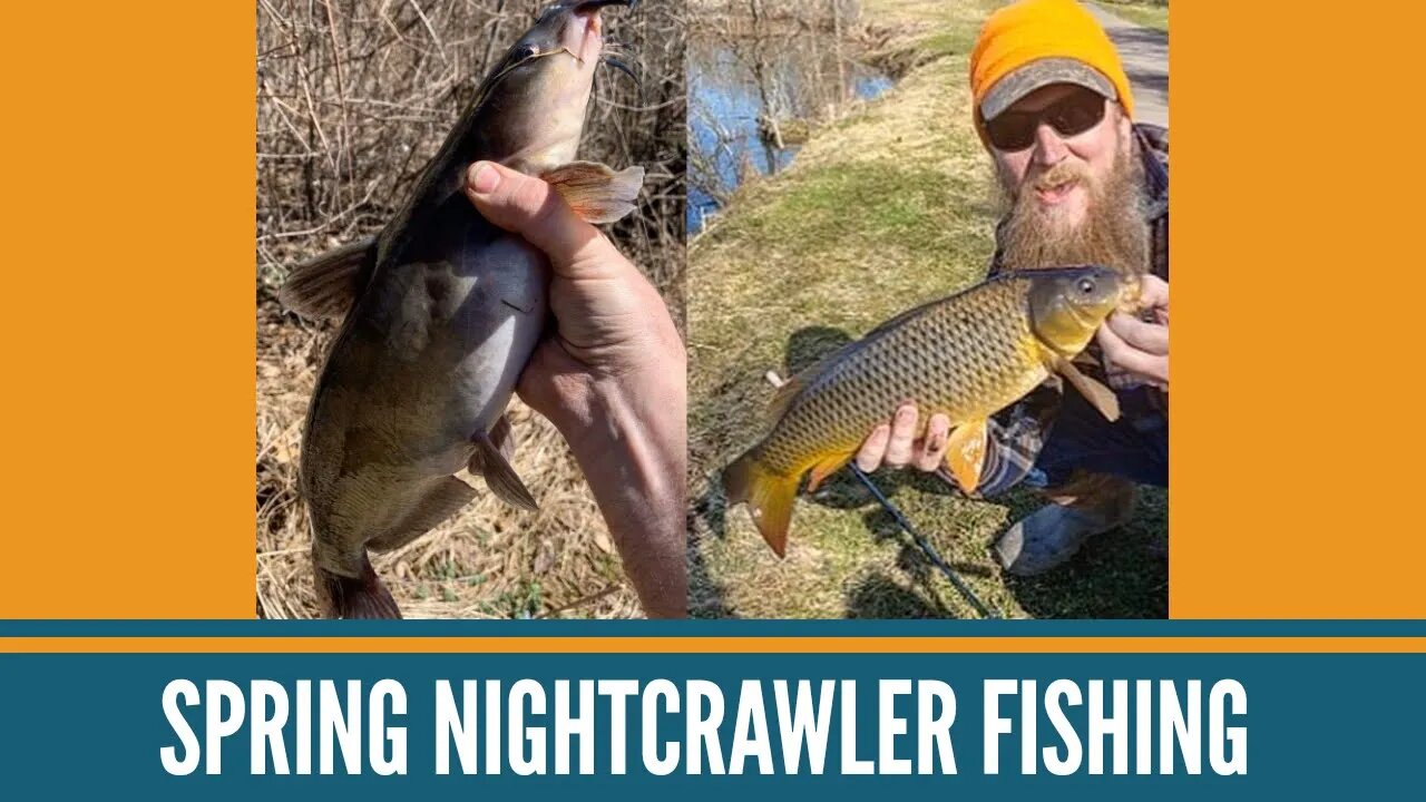 Spring Nightcrawler Fishing For Carp, Catfish And Panfish / Michigan Fishing