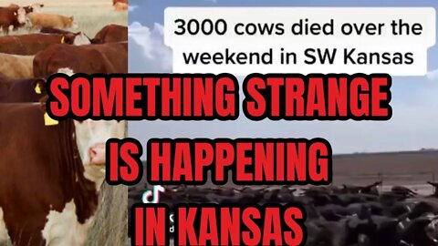Thousands of Cows Mysteriously Dead In Kansas?! Is our food Supply Being Sabotaged?