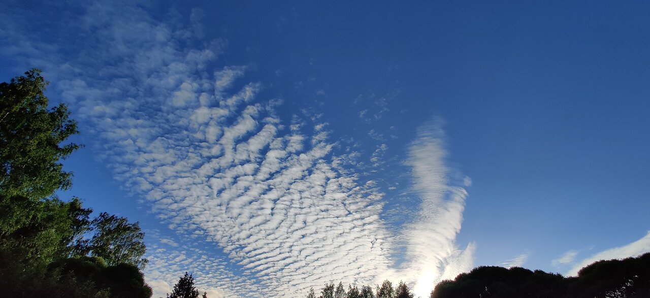 21.6.2024: Weird clouds, halo color