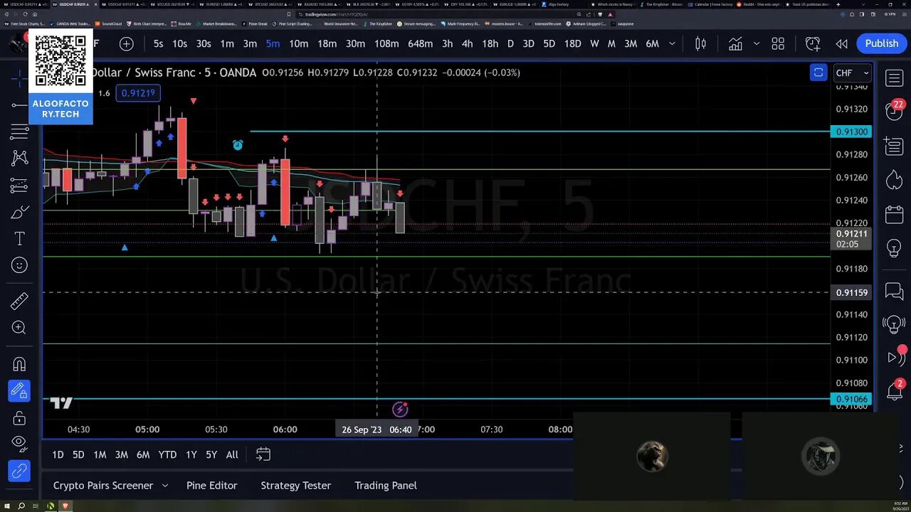 Daily Live Lab for Beginner Traders