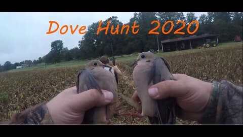 Dove Hunt 9 13 2020