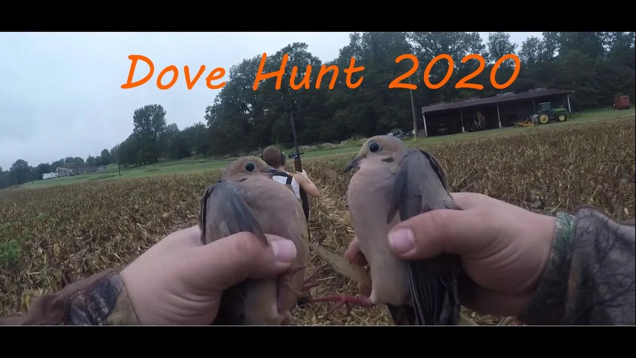 Dove Hunt 9 13 2020