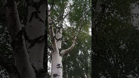 I Am Drunk, But On A Good Track