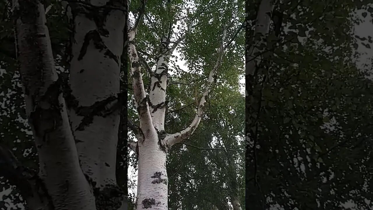 I Am Drunk, But On A Good Track