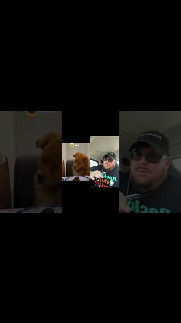 Here’s Your Dose Of REALarious…🤣🤣🤣