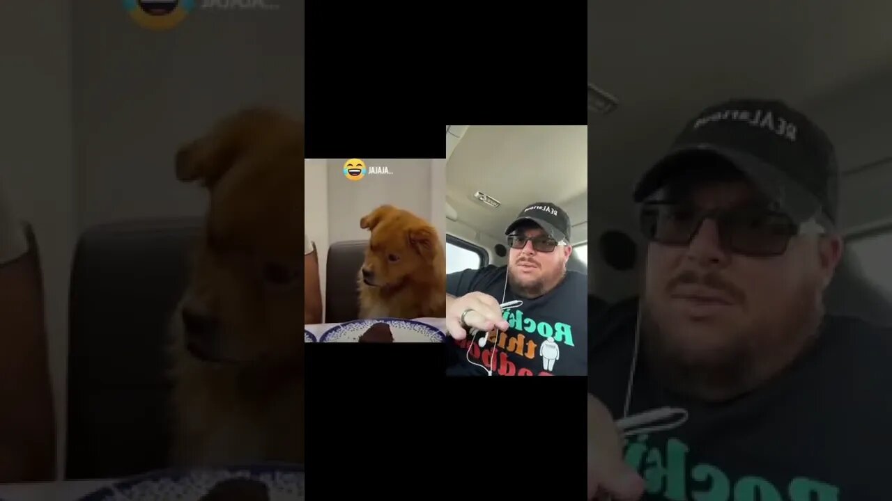 Here’s Your Dose Of REALarious…🤣🤣🤣