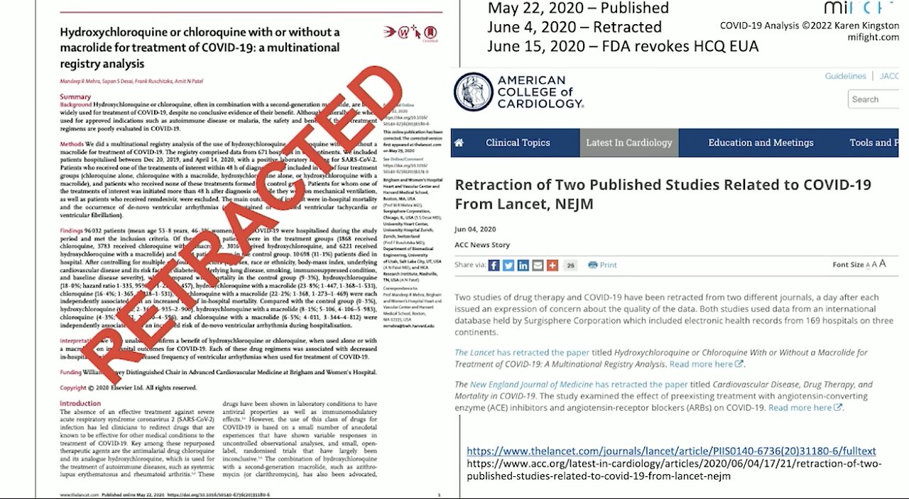 Karen Kingston | “If They Had Authorized It The Vaccines Would Have Never Come To Market.” - Karen Kingston